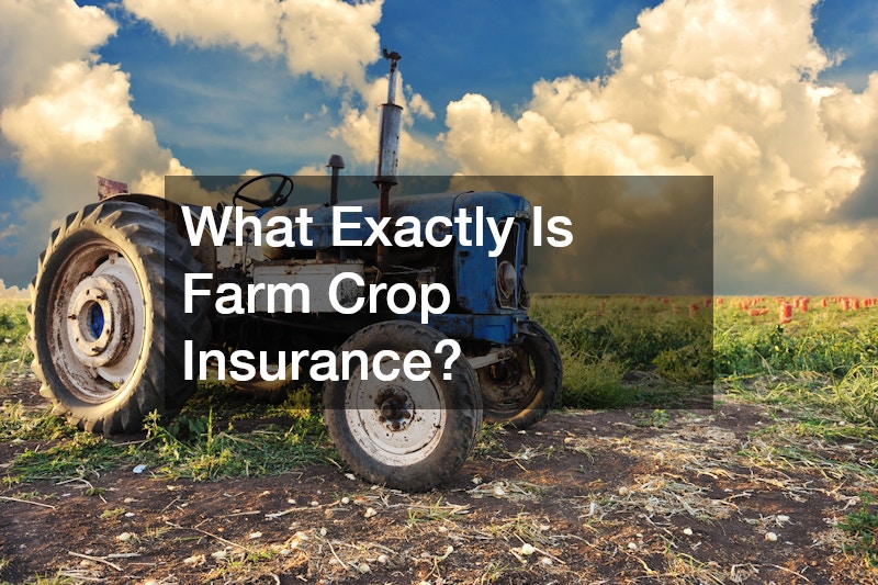 What Exactly Is Farm Crop Insurance?